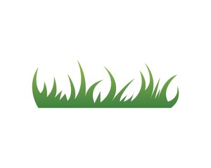 grass vector illustration template