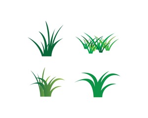grass vector illustration template