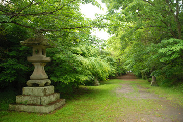 The approach to the shrine in woods