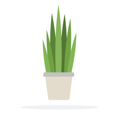 Bushes potted plant vector flat isolated