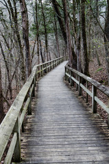 2019_02_02_Road_Trip_Blanchard_Springs_and_Devils_Knob