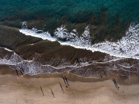 Ocean avenue