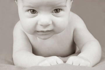 Portrait of a beautiful newborn baby