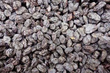 dry black grapes
