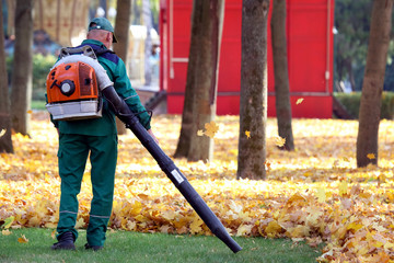 worker in the Park cleans the grass from fallen leaves with the help of a wind turbine