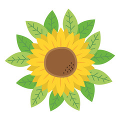 flower leaves foliage