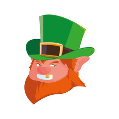 saint patrick lemprechaun head character