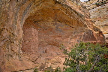 Anasazi cliff dwelling in the remote Utah desert