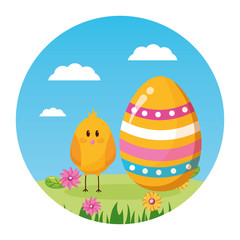 happy easter chicken