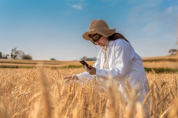 Naklejka na ściany i meble Asian woman agronomist in white coat examining wheat yields in field