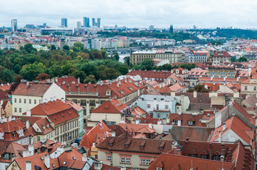 Obraz premium Prague, Czech Republic roofs of the city, beautiful view.