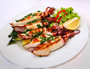 Squids With Spinach and Vegetable Sauce