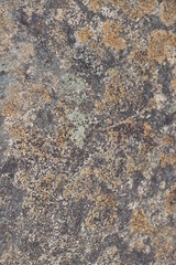 texture of stone