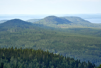Summer landscape view from the top of the UkkoKoli, a fell at the national park Koli, Joensuu, Finland, the land of a thousand lakes.
