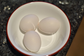 Obraz na płótnie Canvas Bowl of Eggs