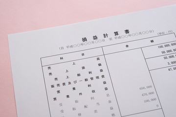 損益計算書　決算書類　ビジネスシーン　PL