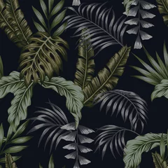 Papier Peint photo Lavable Feuilles tropicales Le motif tropical de nuit laisse un fond noir transparent
