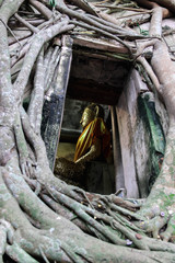 Buddha images and churches with roots of banyan covered at Bang Kung Temple, Samut Songkhram Province, Thailand – Image     