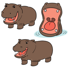 Obraz premium vector set of hippopotamus