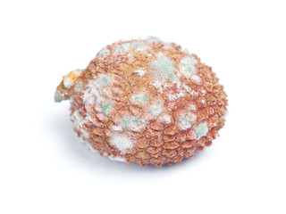 One rotten lychee fruit