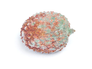 One rotten lychee fruit