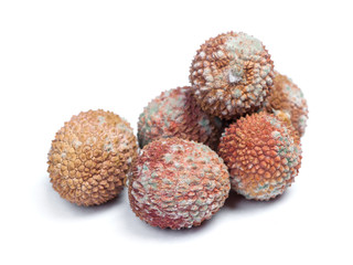 Group of rotten lychees fruits