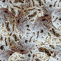 Seamless background, texture. Stones.