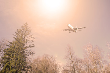 Airliner over dry trees in the sky. Sunset.