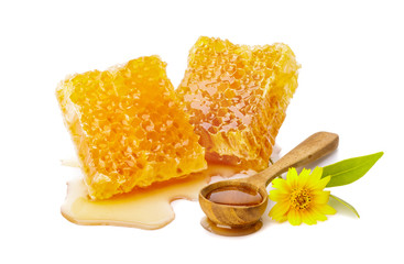 Honeycomb with honey in the spoon and flower isolate on white background, bee products by organic natural ingredients concept