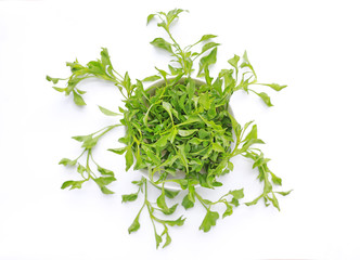 Watercress in bowl isolated on white background. Top view.