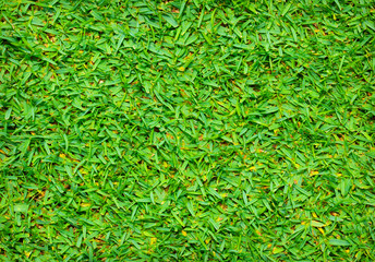 Green artificial grass texture background