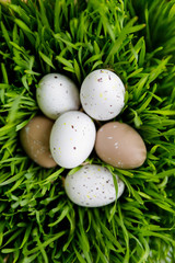 Easter decor. Decorative Easter eggs lie on fresh green grass