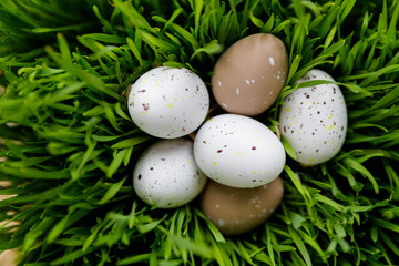 Easter decor. Decorative Easter eggs lie on fresh green grass