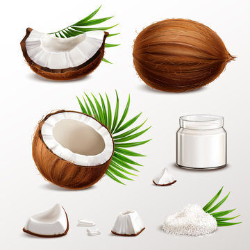 Coconut Realistic Set 