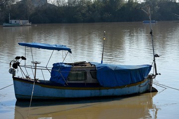Naturaleza, caballos, aves, barcas,