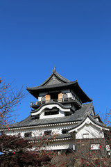 Fototapeta na wymiar 晩秋の犬山城