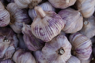 fresh garlic in a basket