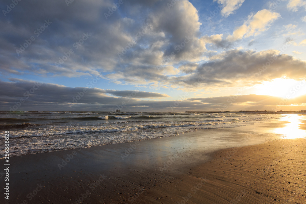 Wall mural beach and sea in winter