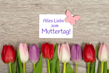 Tulpen zum Muttertag