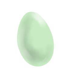egg isolated on white background