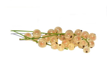 Cluster of white currant berries isolated on white background
