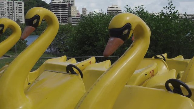 Pedalinho, lagoa rodrigo de freitas lagoon, rio de janeiro RJ, brasil, brazil