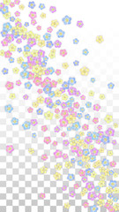 Colorful Vector Realistic Petals Falling on Transparent Background.  Spring Romantic Flowers Illustration. Flying Petals. Sakura Spa Design. Blossom Confetti. Design Elements for Wedding Decoration.