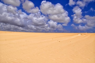 Fototapeta na wymiar sand dunes of corralejo on fuerteventura canary island in spain