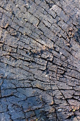 background of wood full frame