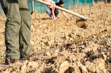 Working the soil manually with the hoe. Close up of the legs and tools