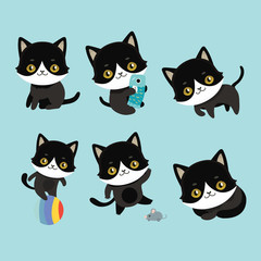 Cute cats character different pose.