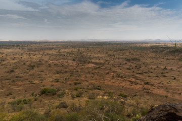 Der Manyara Nationalpark - Tansania