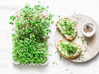 Breakfast, snack, brunch - cream cheese, cucumber, micro greens sandwiches on a light background, top view.Healthy  food concept