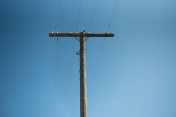 Wooden power pole  in the city